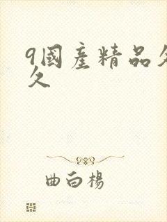 9国产精品久久久