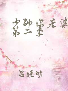 少帅你老婆跑了第二季