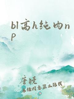 bl高h纯肉np
