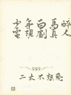 少年白马醉春风电视剧真人版