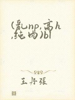 (乱np,高h,纯肉)bl