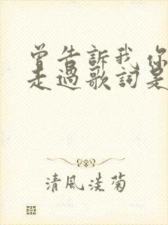 曾告诉我你怎样走过歌词是什么歌