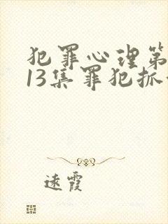 犯罪心理第二季13集罪犯抓住了没