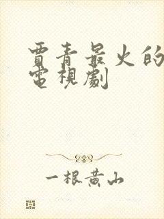 贾青最火的5部电视剧