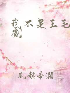 我不是王毛电视剧