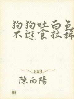 狗狗吐白色粘液不进食拉稀