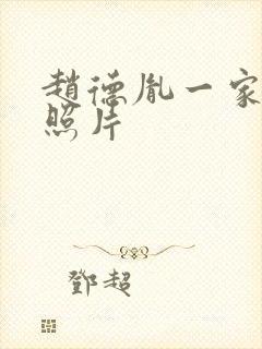 赵德胤一家三口照片