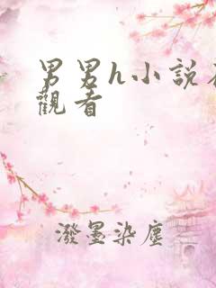 男男h小说在线观看