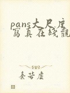 pans大尺度写真在线观看