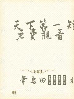 天下第一 短剧 免费观看