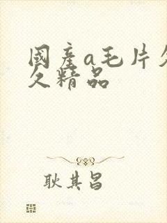 国产a毛片久久久精品