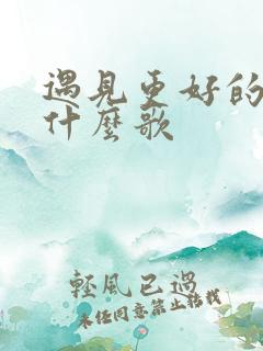 遇见更好的他是什么歌