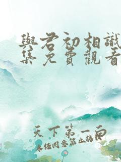 与君初相识 全集免费观看