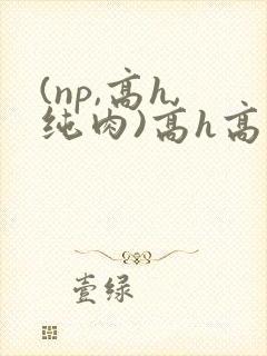 (np,高h,纯肉)高h高辣小说