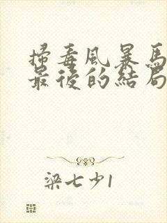 扫毒风暴马英子最后的结局是什么