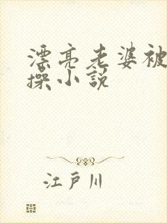 漂亮老婆被别人操小说