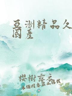 亚洲精品久久久国产