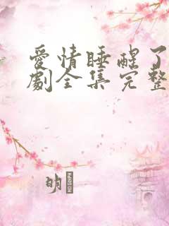 爱情睡醒了电视剧全集完整版