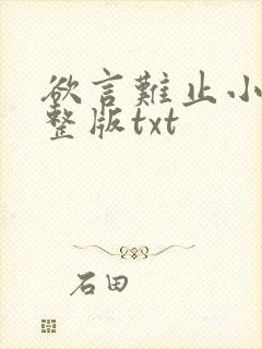欲言难止小说完整版txt