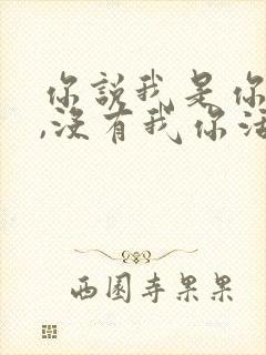 你说我是你最爱,没有我你活不来是什么歌