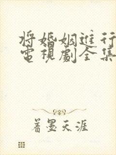 将婚姻进行到底电视剧全集播放免费观看