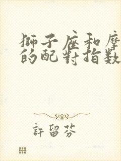 狮子座和摩羯座的配对指数