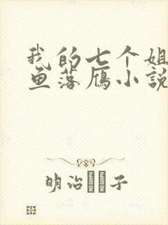 我的七个姐姐沉鱼落雁小说免费阅读