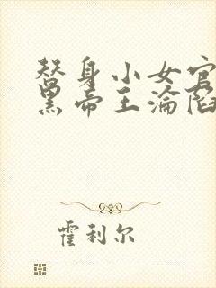 替身小女官,腹黑帝王沦陷