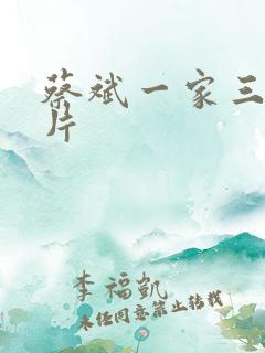 蔡斌一家三口照片