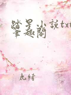 踏星小说txt笔趣阁