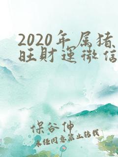 2020年属猪旺财运微信头像