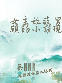 女主姓苏男主姓顾的小说现代言情