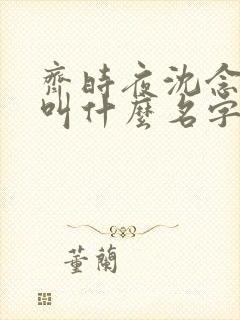 齐时夜沈念小说叫什么名字