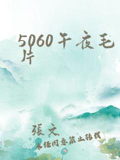 5060午夜毛片