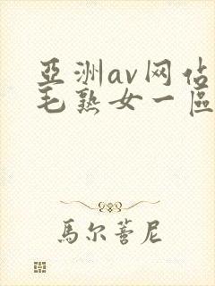 亚洲av网站浓毛熟女一区