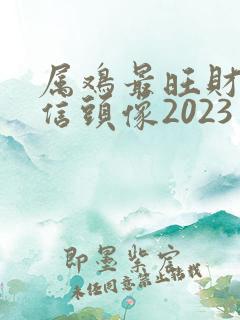 属鸡最旺财的微信头像2023