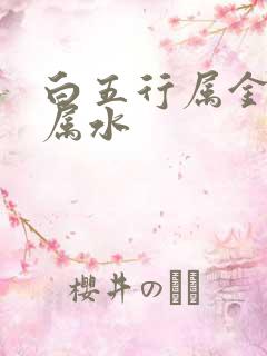 白五行属金还是属水