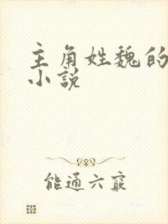 主角姓魏的玄幻小说