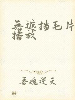 无遮挡毛片视频播放