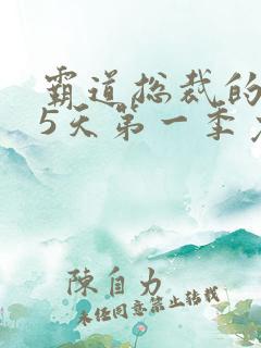 霸道总裁的365天第一季免费