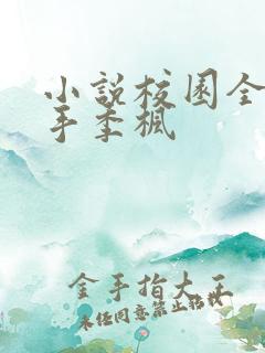 小说校园全能高手季枫