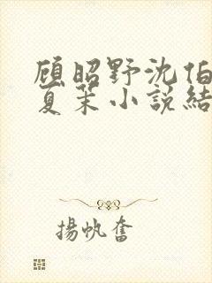 顾昭野沈伯安裴夏茉小说结局