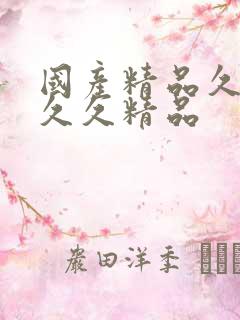 国产精品久久久久久精品