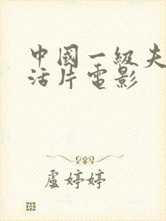 中国一级夫妻生活片电影