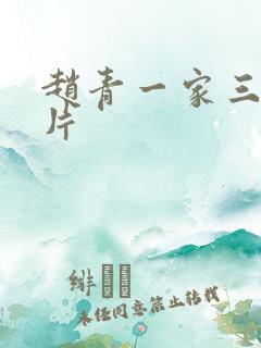 赵青一家三口照片