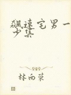 飙速宅男一共多少集