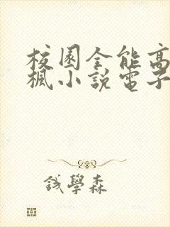 校园全能高手季枫小说电子书下载