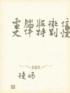 电脑版微信发送文件特别慢