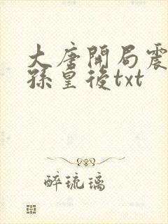 大唐开局震惊长孙皇后txt