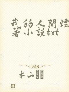 我的人间烟火原著小说txt